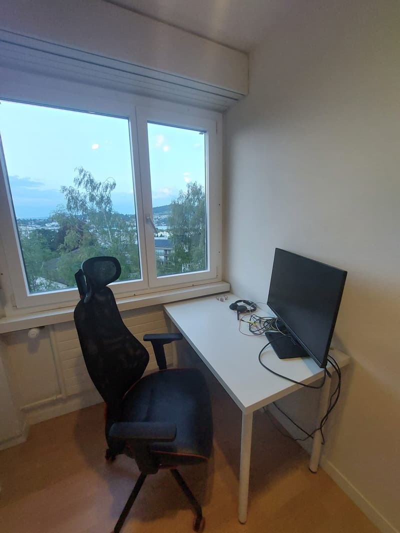 Sublet in Lucerne (+/- Nov to Feb) Apartment with Lake View (13)