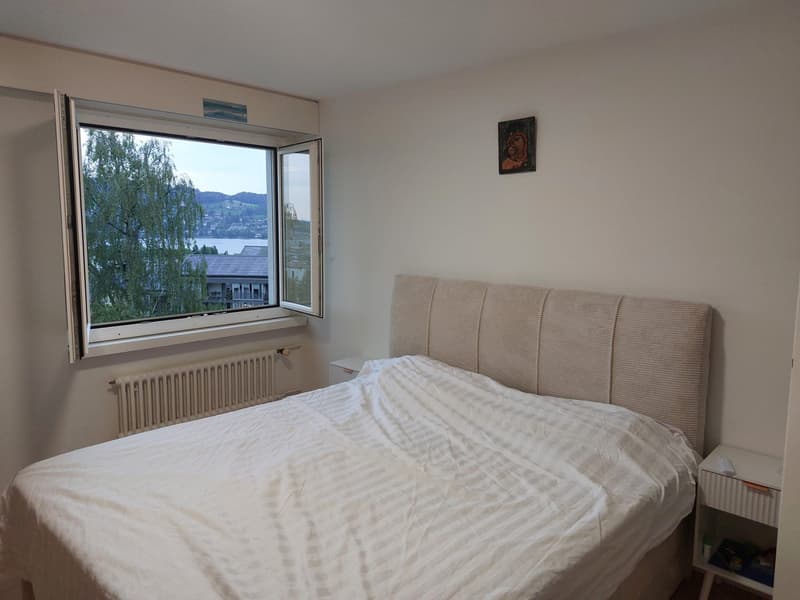 Sublet in Lucerne (+/- Nov to Feb) Apartment with Lake View (10)