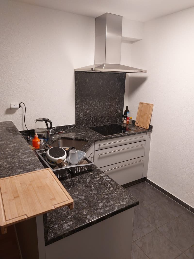 Sublet in Lucerne (+/- Nov to Feb) Apartment with Lake View (8)
