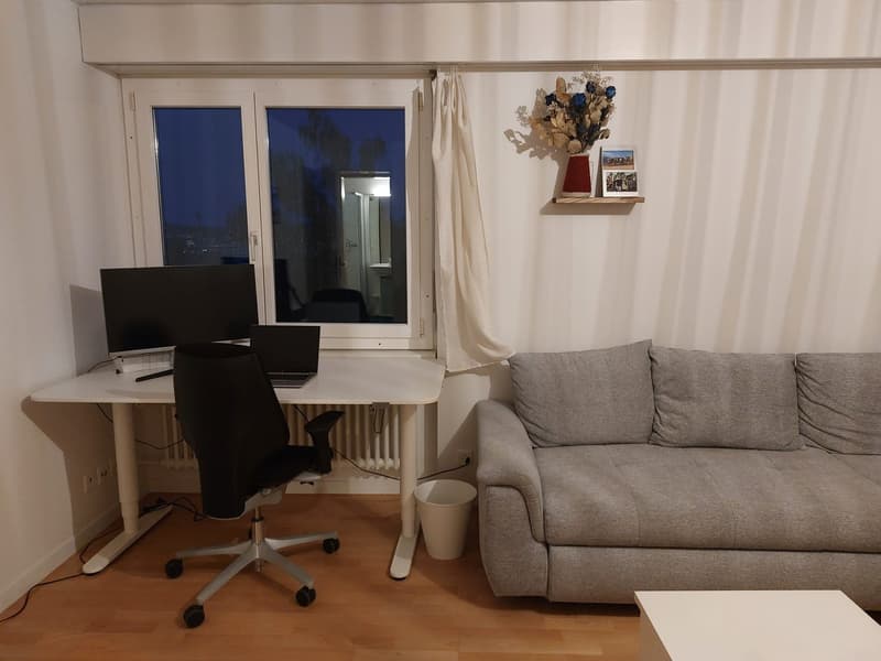 Sublet in Lucerne (+/- Nov to Feb) Apartment with Lake View (4)