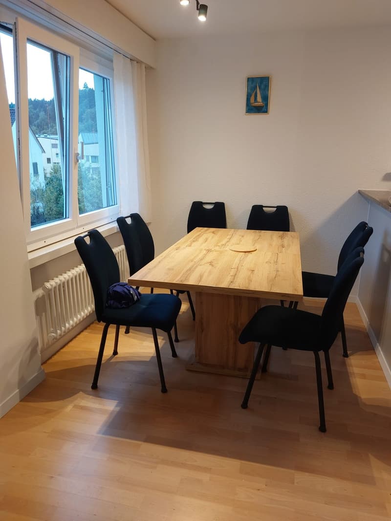 Sublet in Lucerne (+/- Nov to Feb) Apartment with Lake View (3)