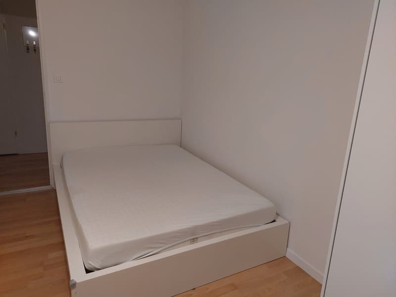 Sublet in Lucerne (+/- Nov to Feb) Apartment with Lake View (12)