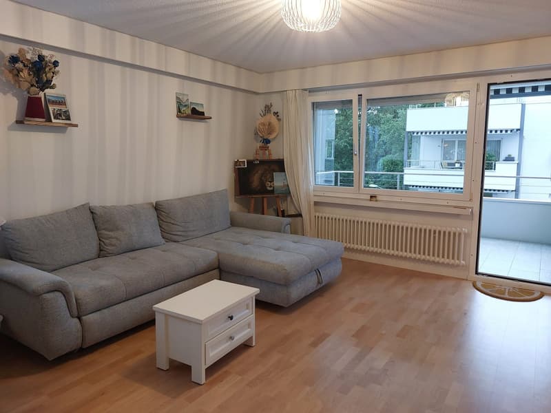 Sublet in Lucerne (+/- Nov to Feb) Apartment with Lake View (1)