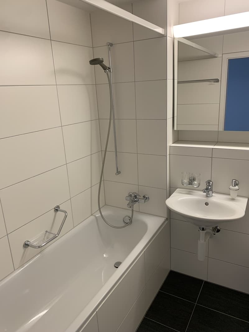 3 Zimmer Wohnung (1)
