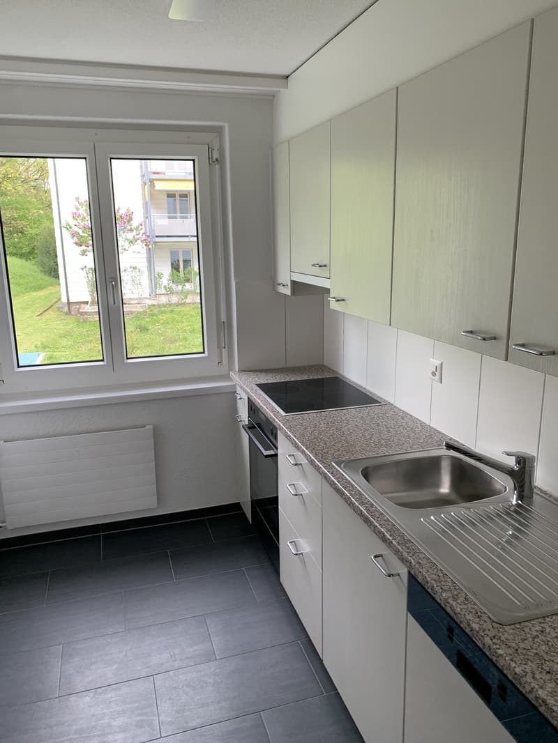 3 Zimmer Wohnung (5)