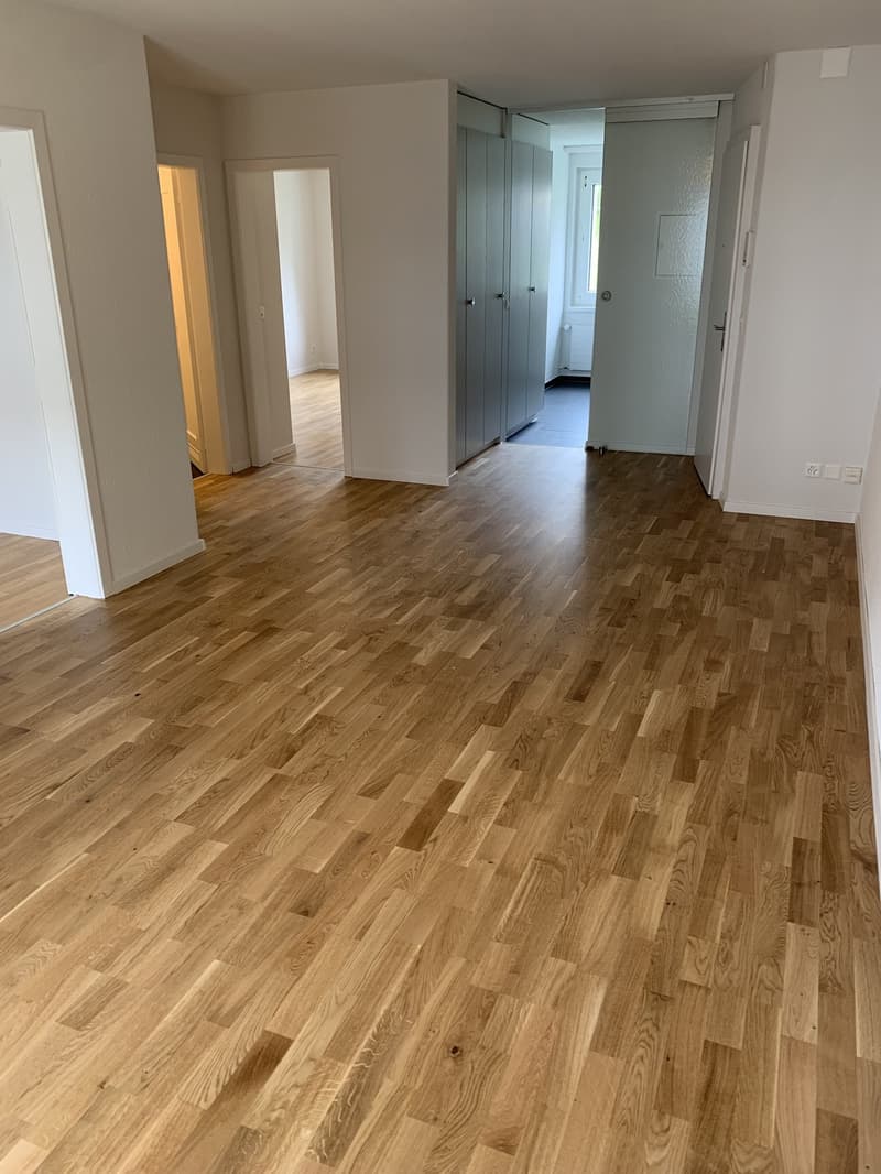 3 Zimmer Wohnung (4)