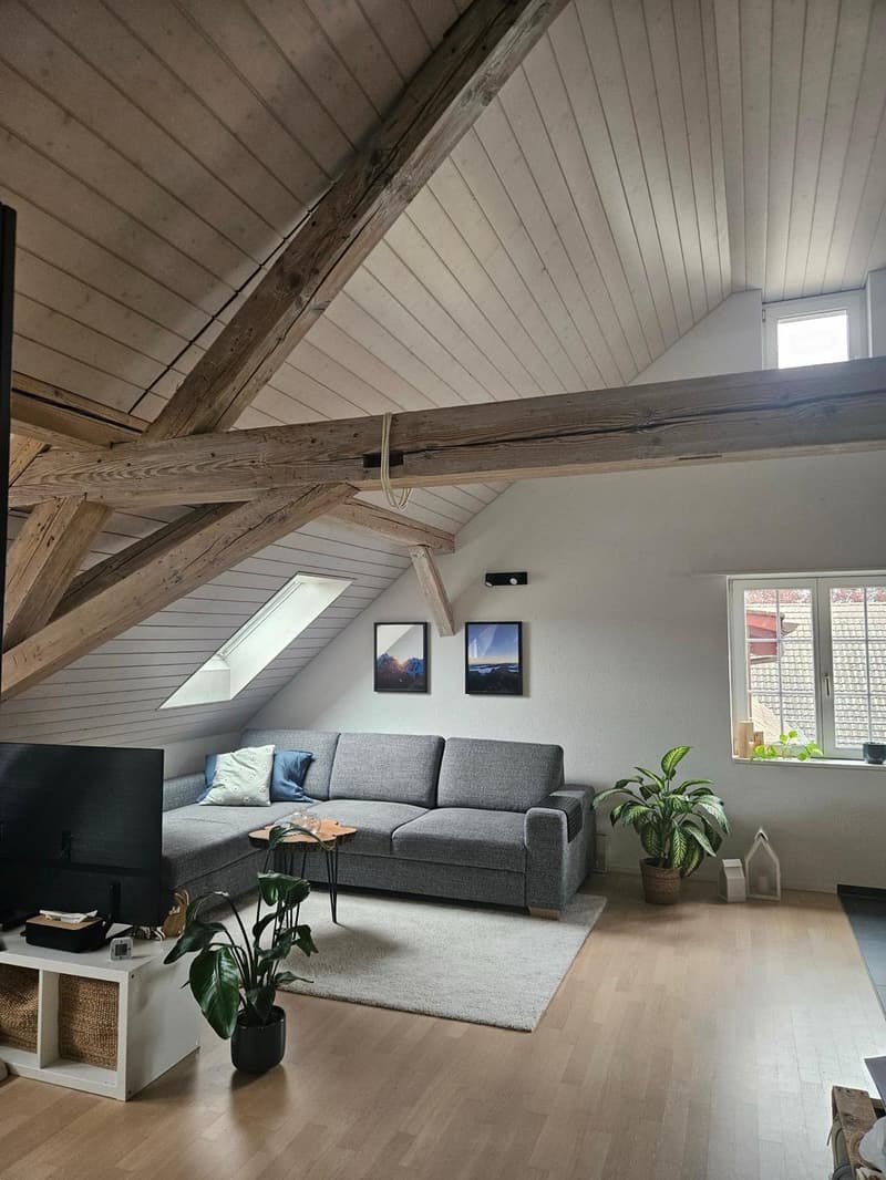 2 ½ Zimmer-Wohnung, 8458 Dorf (1)