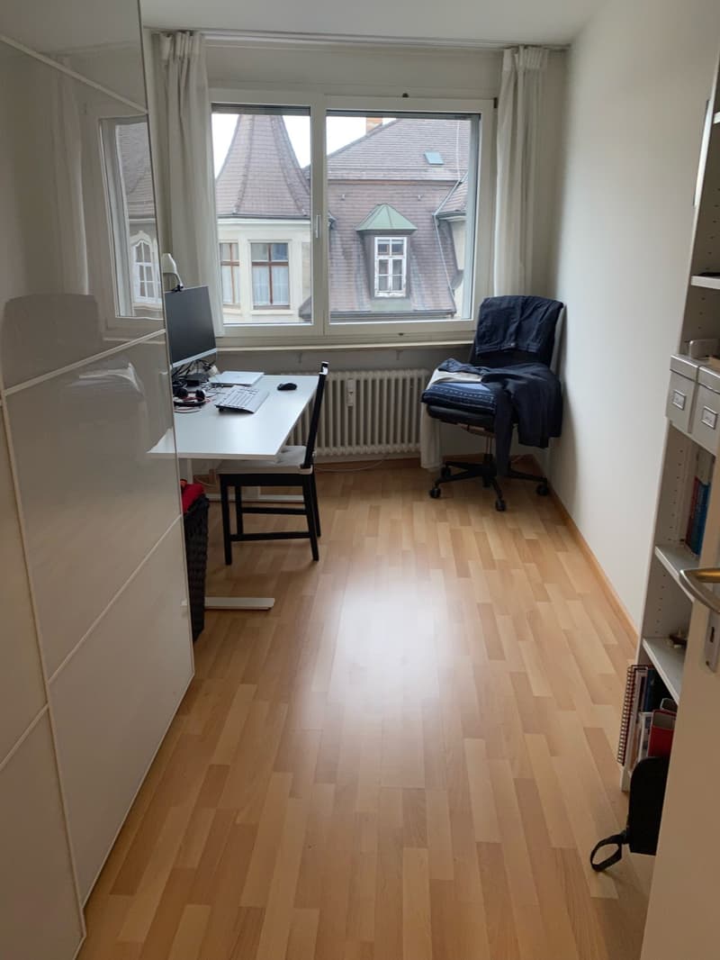 3 ½ Zimmer-Wohnung, 4056 Basel (5)
