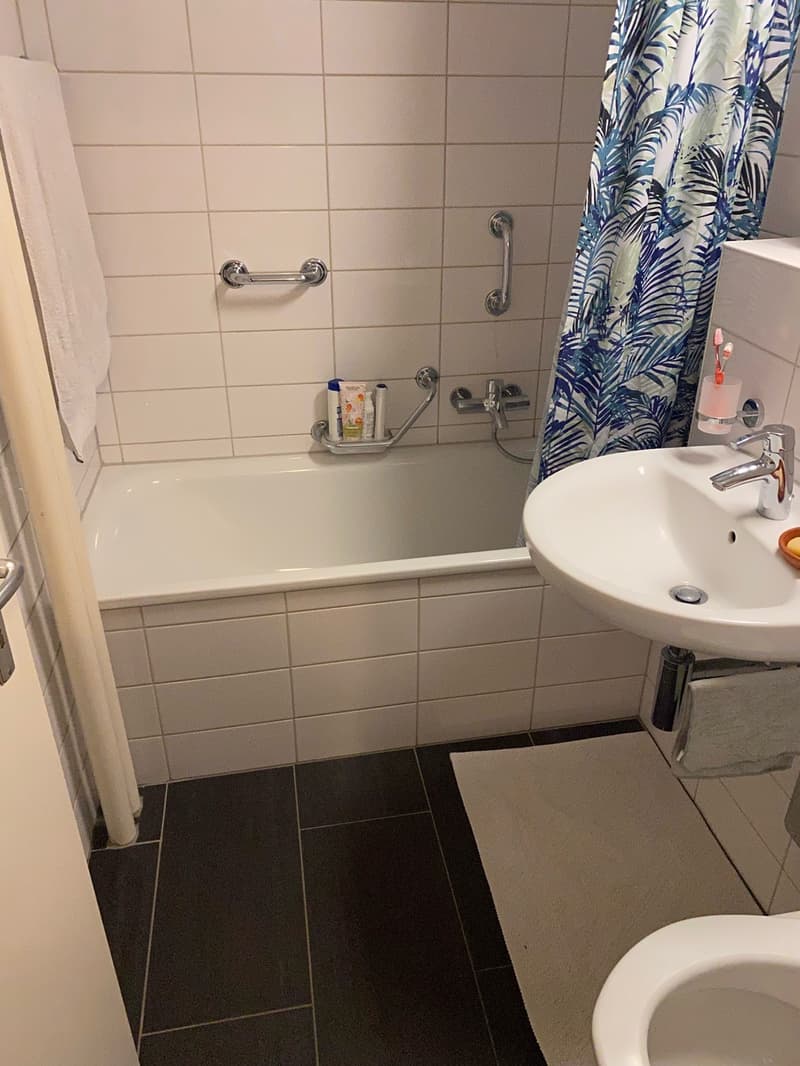 3 ½ Zimmer-Wohnung, 4056 Basel (7)