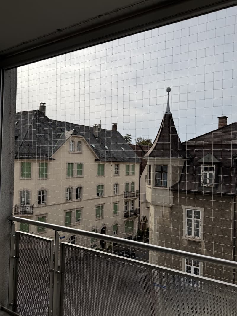 3 ½ Zimmer-Wohnung, 4056 Basel (6)