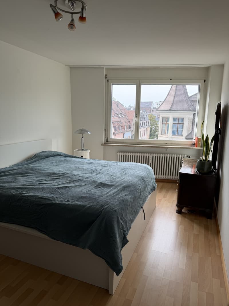 3 ½ Zimmer-Wohnung, 4056 Basel (4)