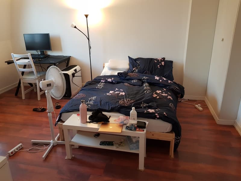 Studio lumineux de 27 m² au centre de Genève (2)
