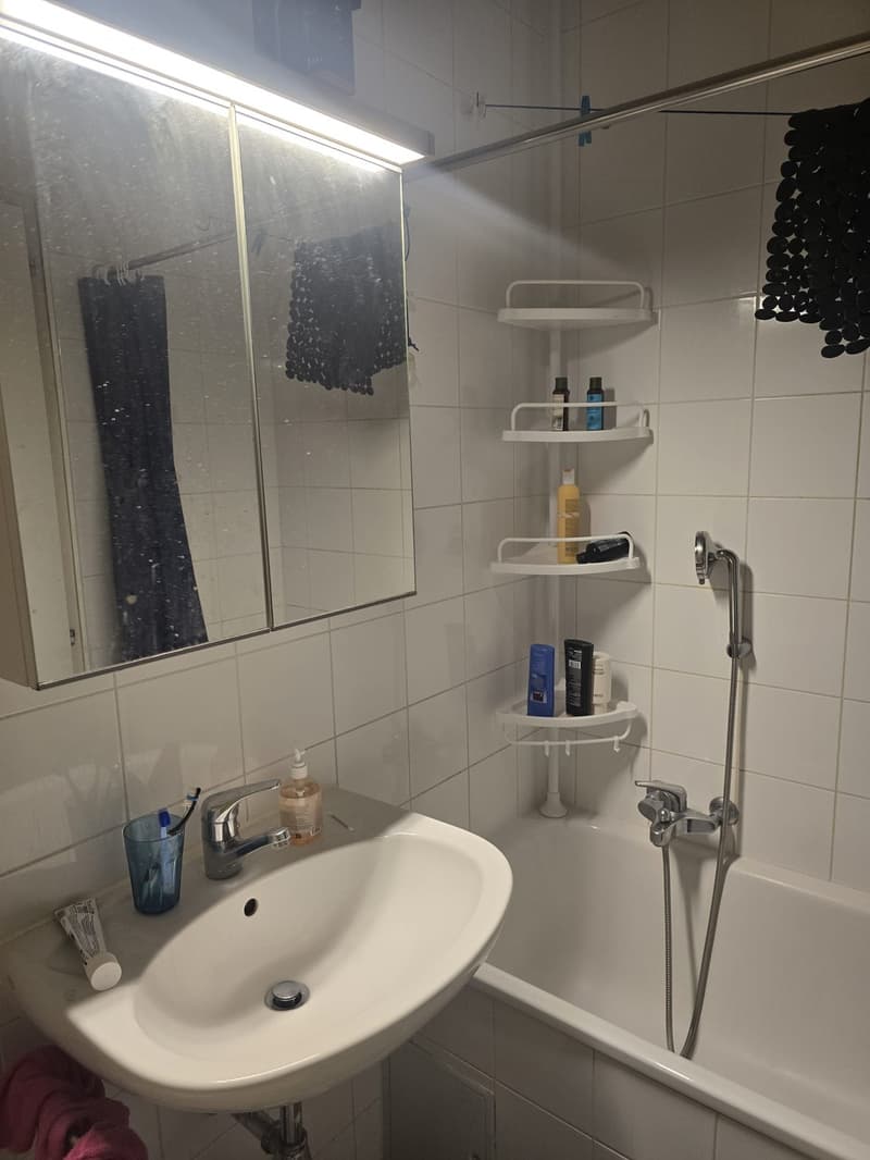 Studio lumineux de 27 m² au centre de Genève (6)
