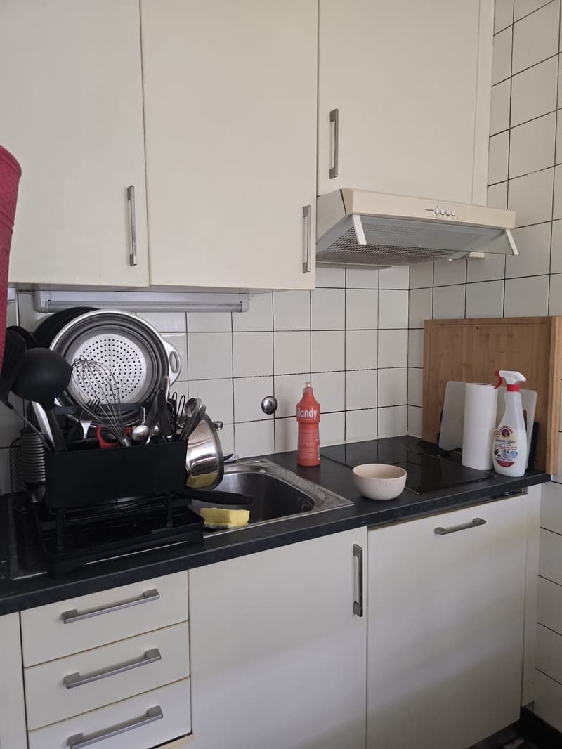 Studio lumineux de 27 m² au centre de Genève (4)