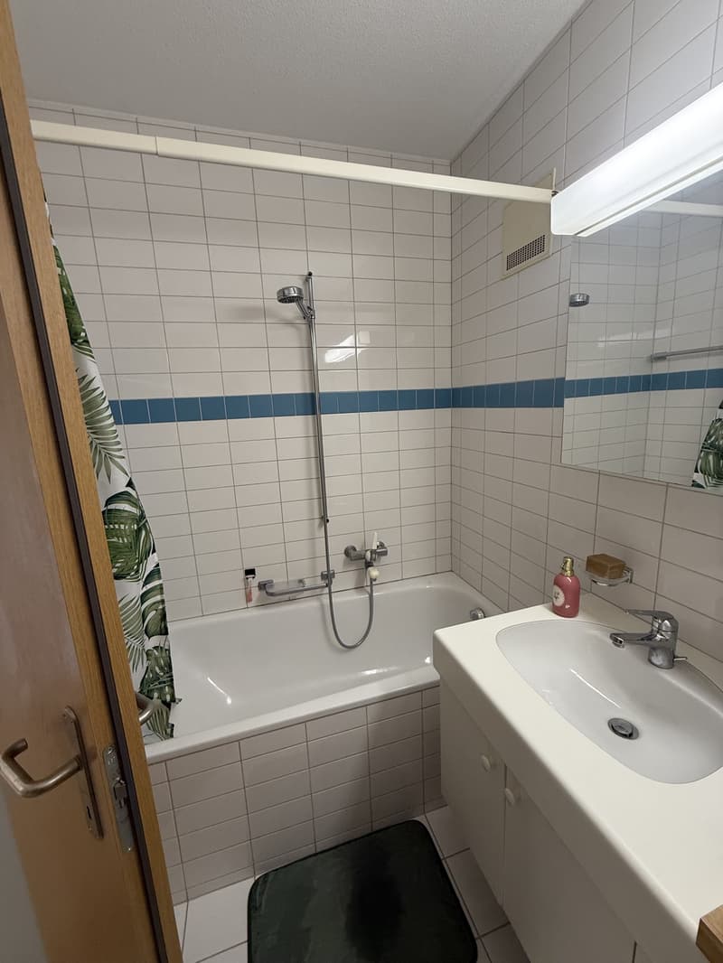 100msq Apartment centre Bern (3007) (5)