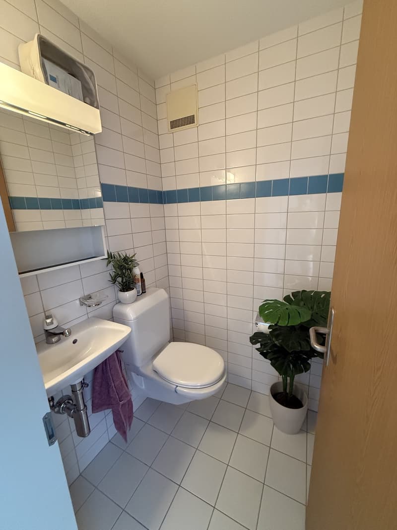 100msq Apartment centre Bern (3007) (6)