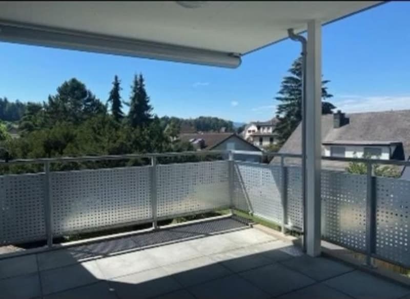 Schöne 2.5-Zimmer-Wohnung in ruhiger und zentraler Lage Nachmieter per 01.10.2026 gesucht (10)