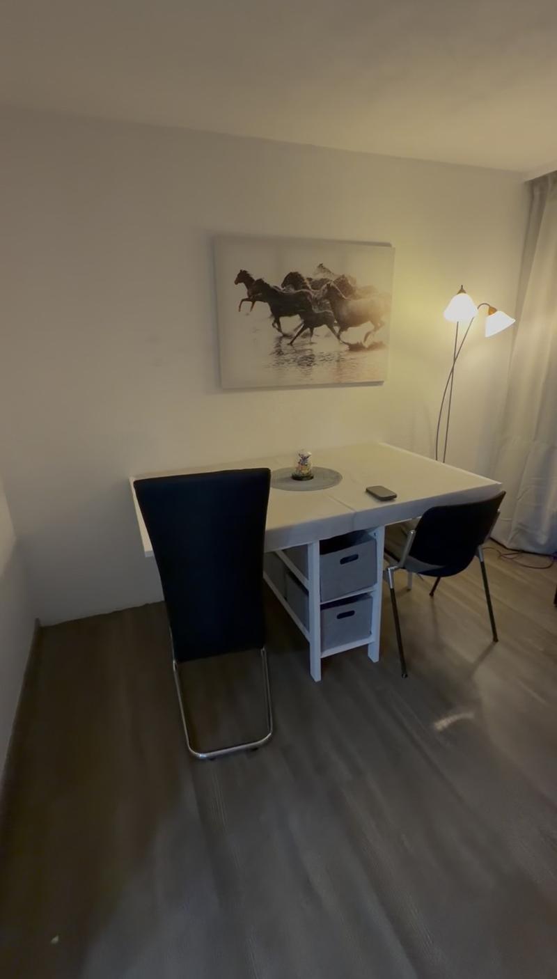 Studio in Gersau (3)