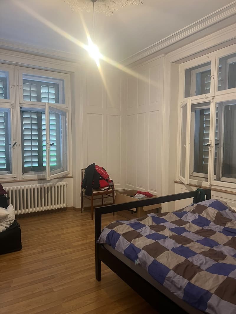 Wunderschöne, helle Altbauwohnung an zentraler Lage (3)