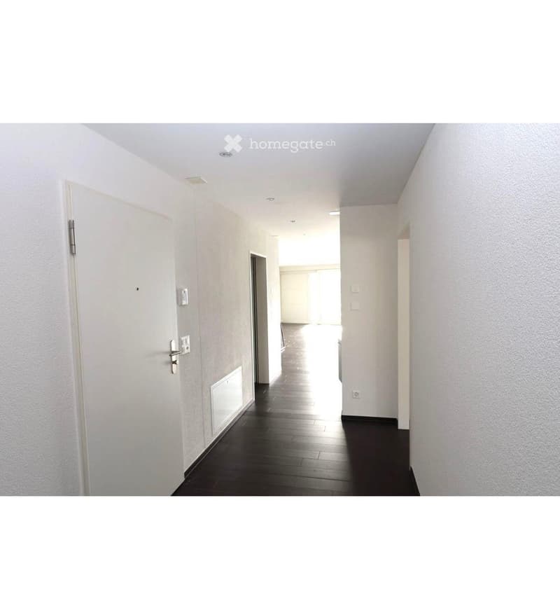 Helle 4,5-Zimmer-Wohnung nach Eigentumsstandard mit Sicht auf Berge, Zürichsee & Schloss Rapperswil-Jona (1)