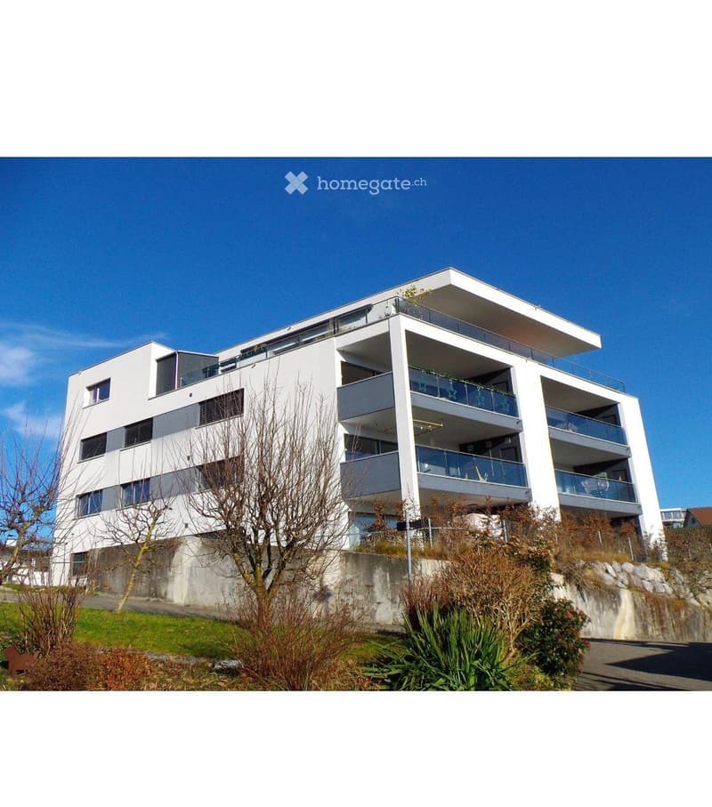 Helle 4,5-Zimmer-Wohnung nach Eigentumsstandard mit Sicht auf Berge, Zürichsee & Schloss Rapperswil-Jona (2)