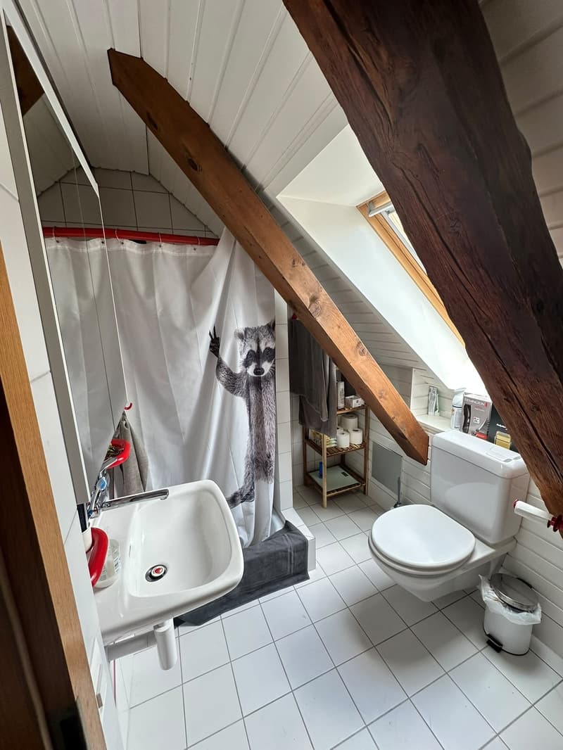 4 Zimmer Maisonette Wohnung (6)