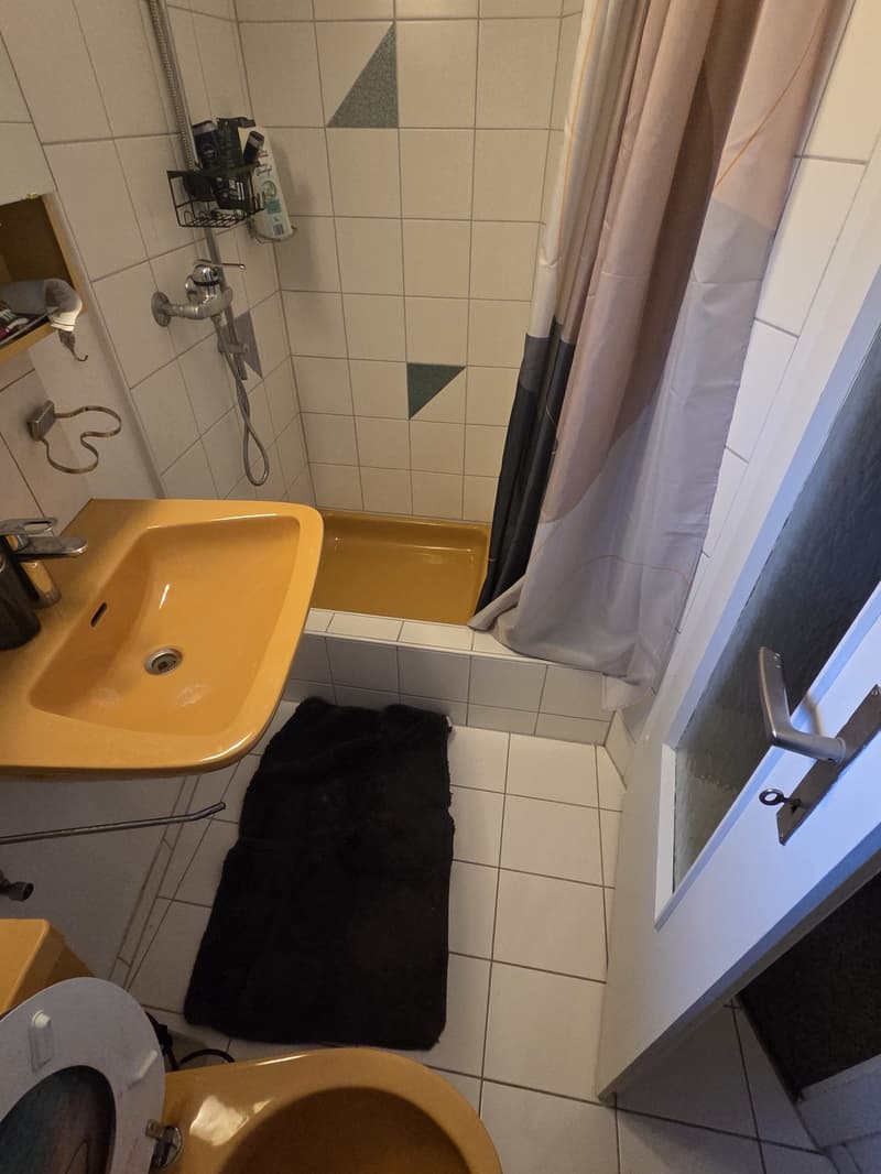3 Zimmer-Wohnung, 9450 Altstätten (2)