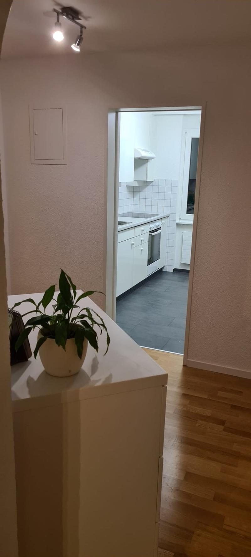 WG-Zimmer in Buchs zu vermieten (2)