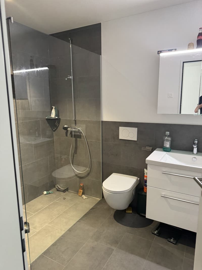 3.5 Zimmer Attika an Top Lage (9)
