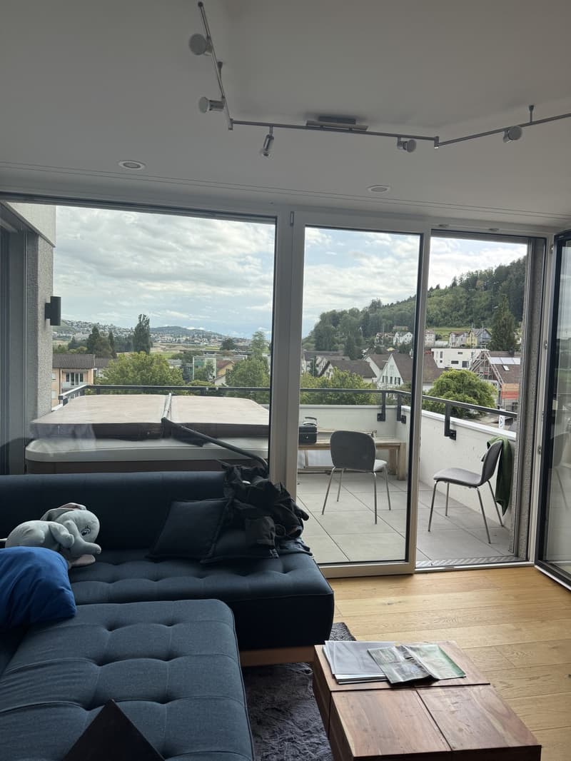 3.5 Zimmer Attika an Top Lage (7)