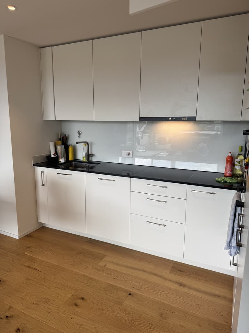 3.5 Zimmer Attika an Top Lage (5)