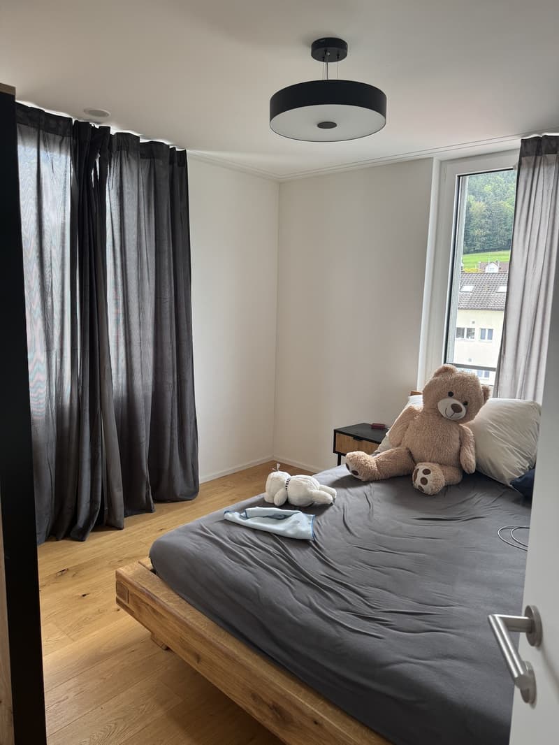 3.5 Zimmer Attika an Top Lage (3)