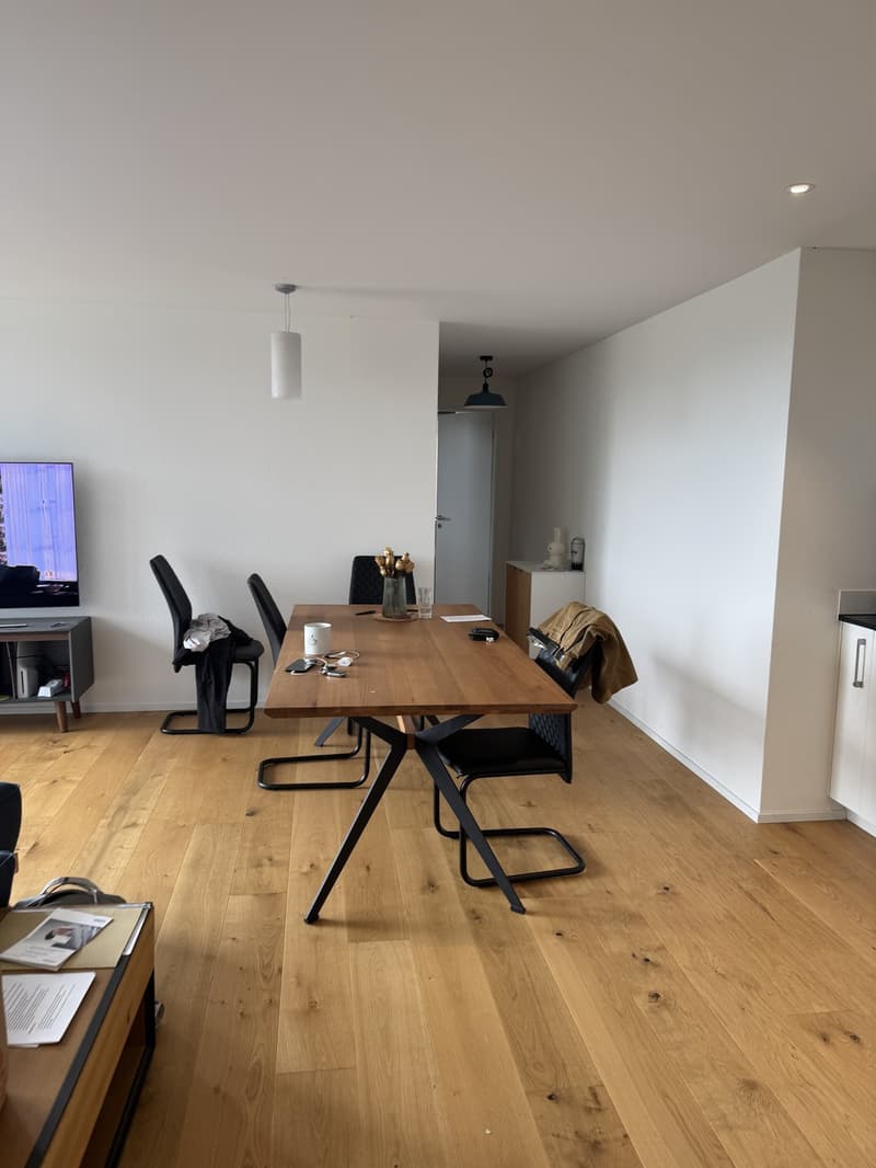3.5 Zimmer Attika an Top Lage (6)