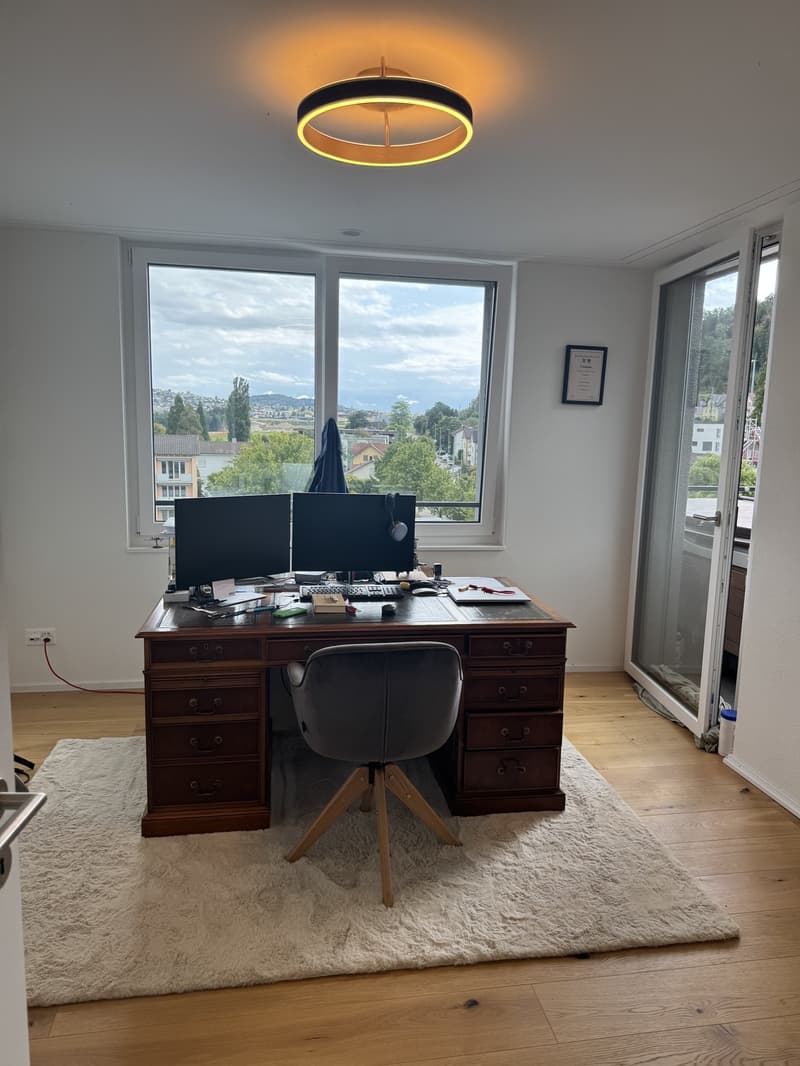 3.5 Zimmer Attika an Top Lage (8)