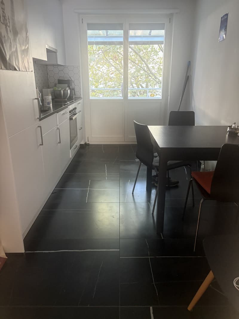 2 rooms apartment, 4057 Basel (2)