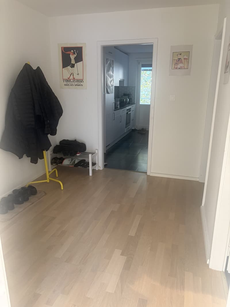 2 rooms apartment, 4057 Basel (4)
