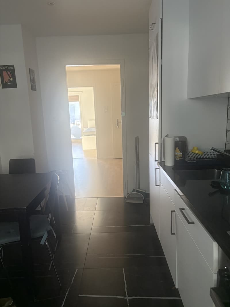 2 rooms apartment, 4057 Basel (3)