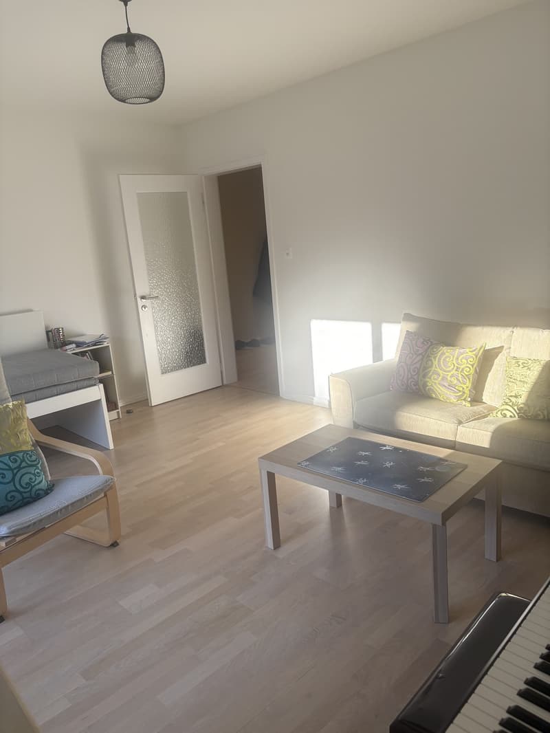 2 rooms apartment, 4057 Basel (7)