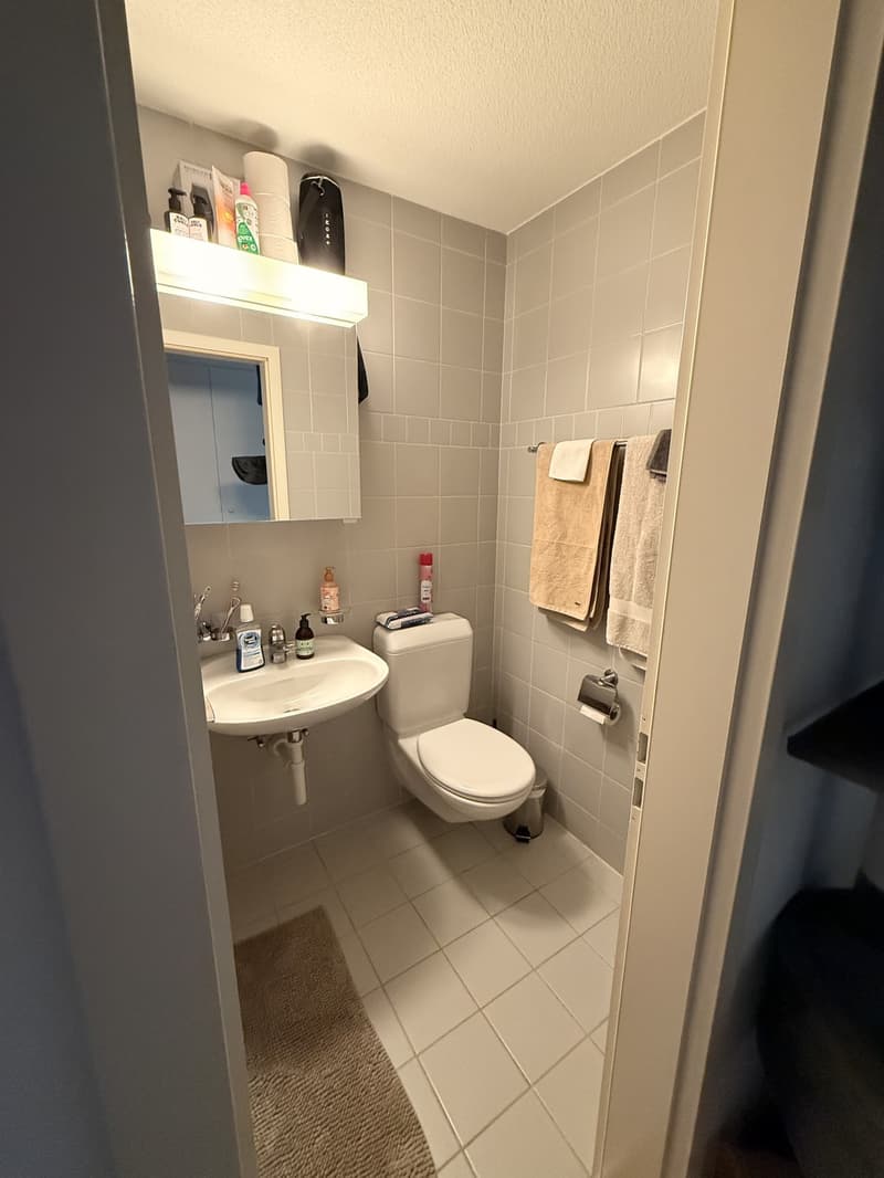 Helle 3-Zimmer-Wohnung mit grossem Balkon in Köniz  Nachmieter gesucht (7)