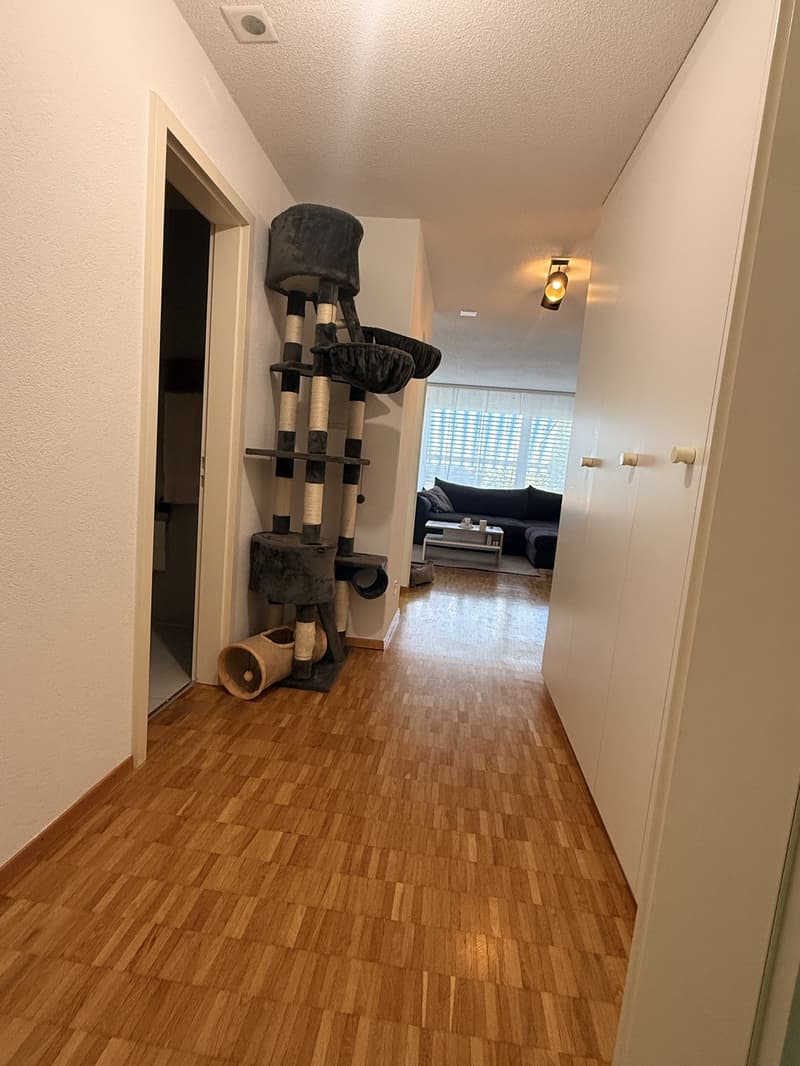 Helle 3-Zimmer-Wohnung mit grossem Balkon in Köniz  Nachmieter gesucht (5)