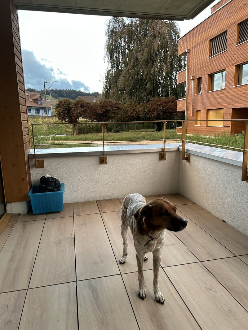 2 ½ Zimmer-Wohnung, 4950 Huttwil (7)