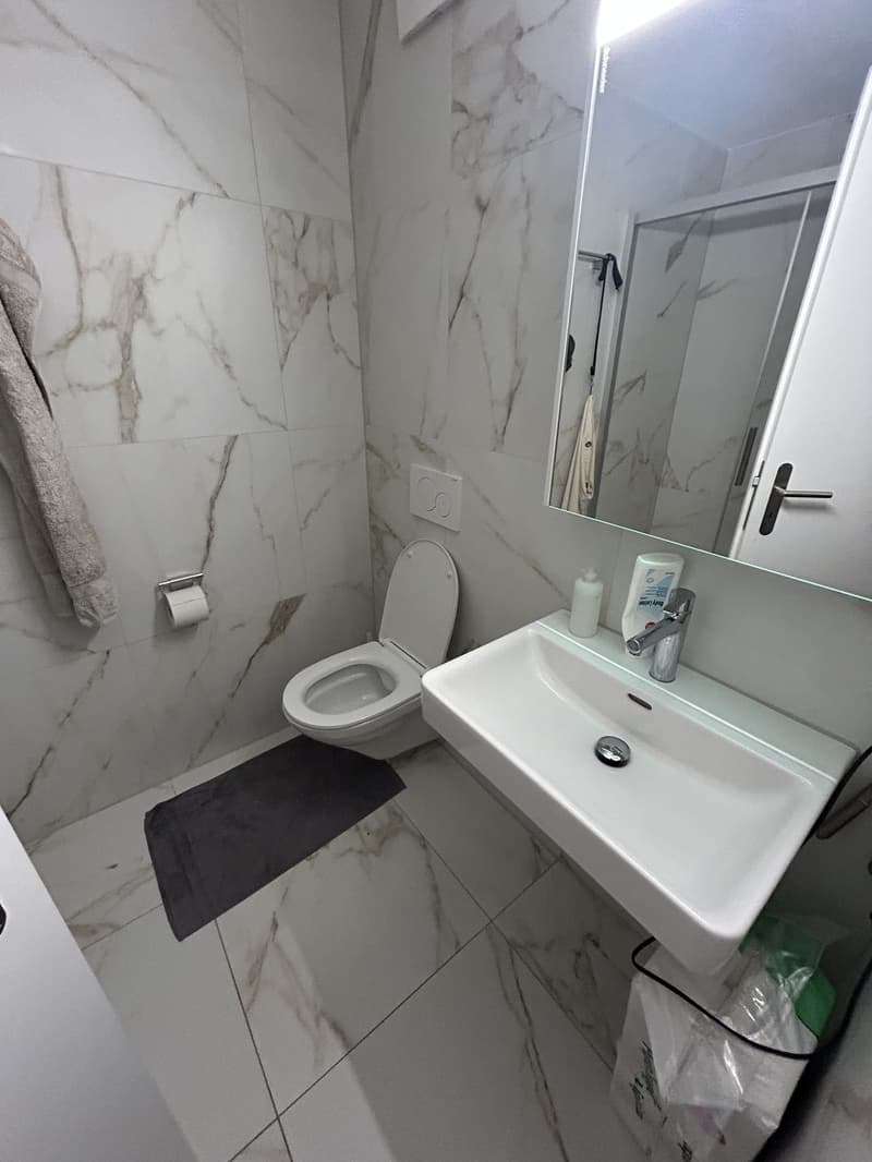 2 ½ Zimmer-Wohnung, 4950 Huttwil (5)