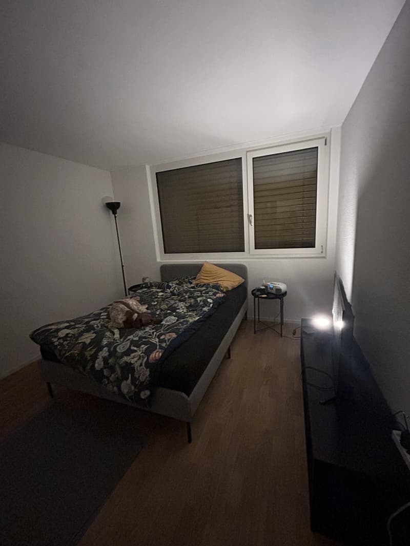 2 ½ Zimmer-Wohnung, 4950 Huttwil (2)