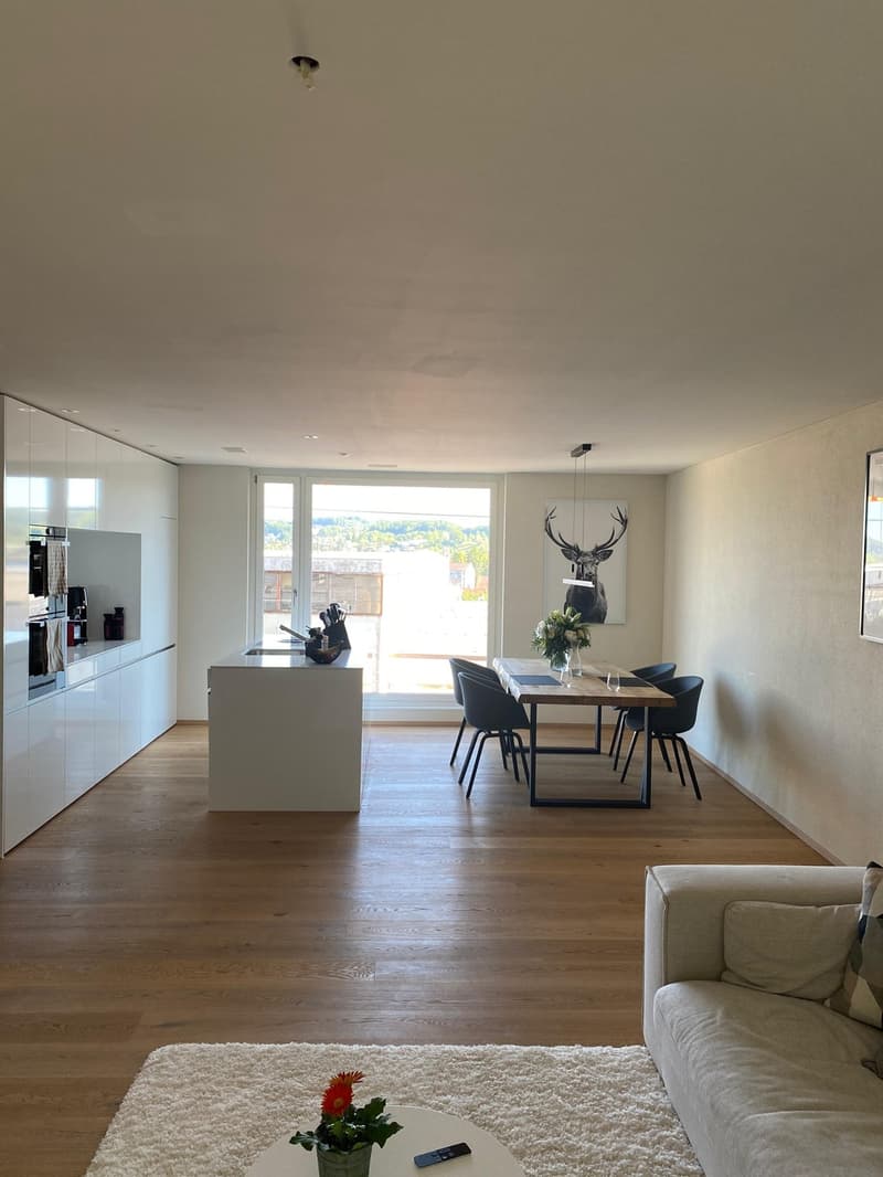 Moderne 3 1/2 Zimmer Wohnung in Kloten (1)