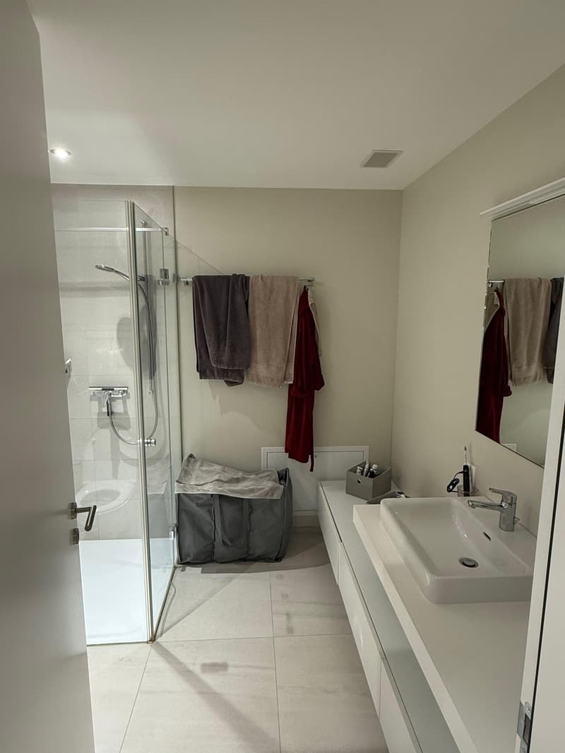 Moderne 3 1/2 Zimmer Wohnung in Kloten (11)