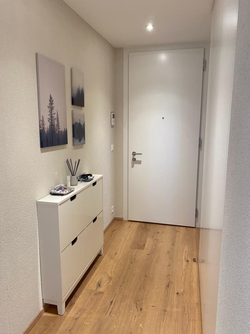 Moderne 3 1/2 Zimmer Wohnung in Kloten (6)