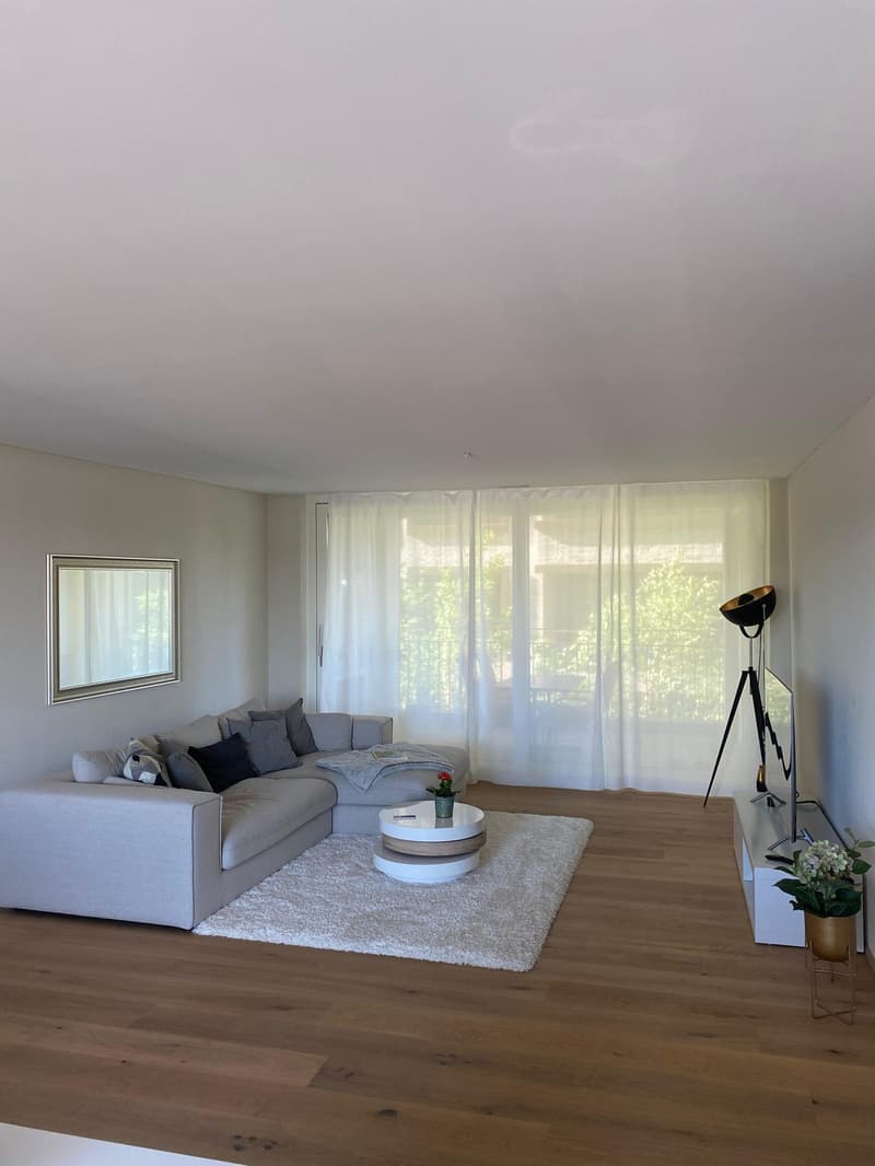 Moderne 3 1/2 Zimmer Wohnung in Kloten (2)