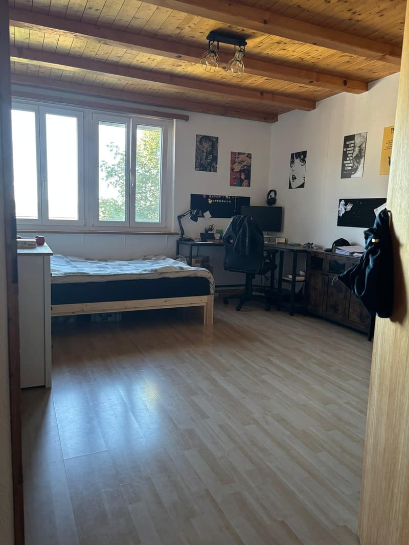 5-Zimmer-Wohnung über 3 Etagen auf dem Land (3)