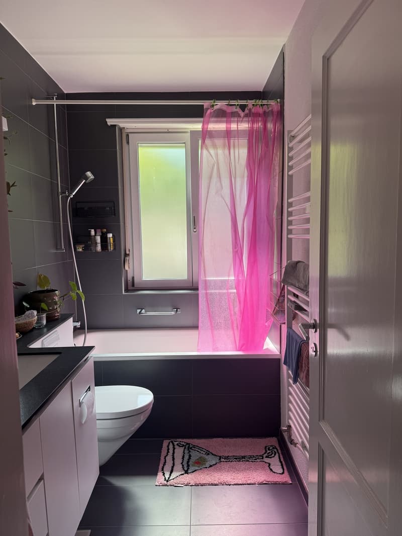Sonniges WG-Zimmer in Holligen zu vermieten (3)