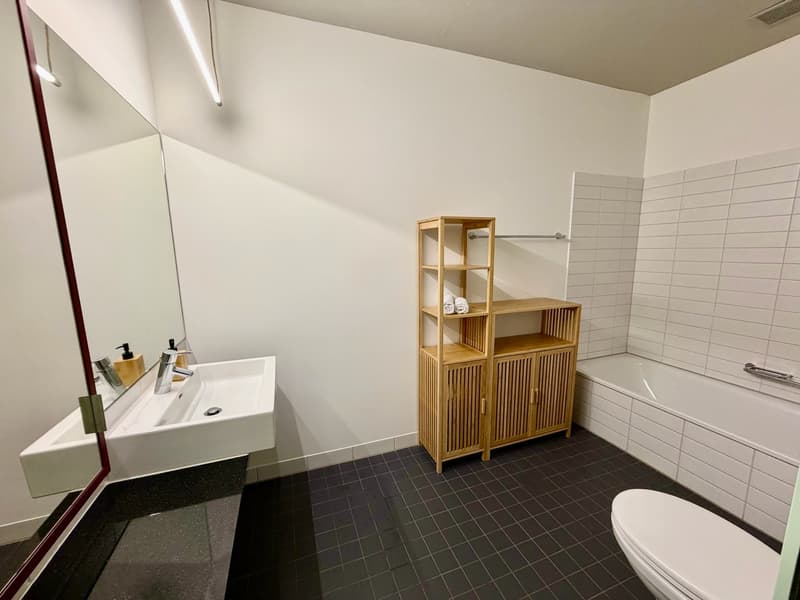 Auf der Suche nach einer modernen Wohnung in Winterthur Hegi? (8)